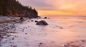 The NCCIH launches new web site!
